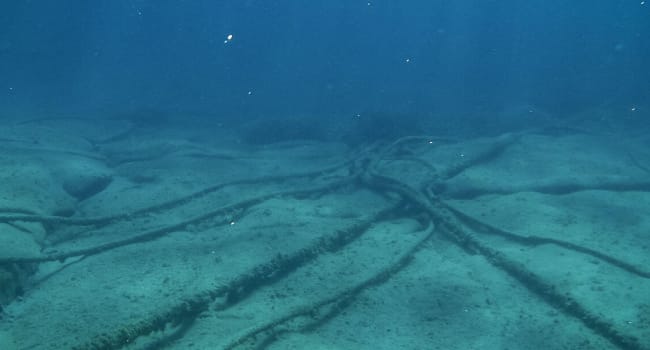 5 Sectors Disrupted In Nigeria By Undersea Cable Cuts