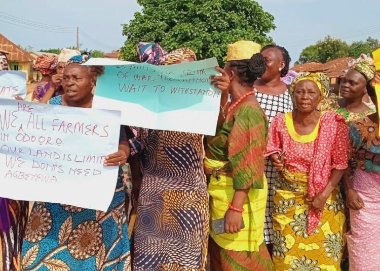 Ekiti Women Protest Farmland Destruction