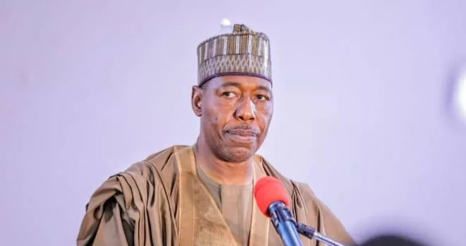 Borno State Government Urges Patience During Power Outage
