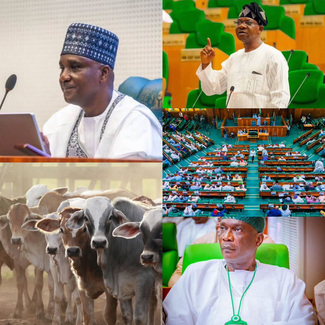 Reps Pushes New Bills to Boost Nigeria’s Livestock Sector