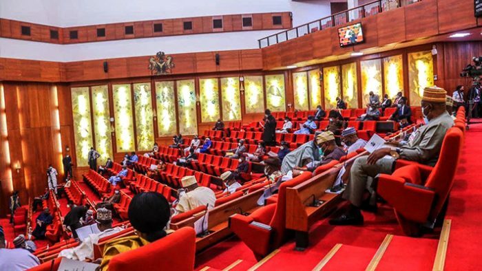 Senate Advances Legal Practitioner Act Amendment, Mandates Two-Year Pupillage for New Lawyers